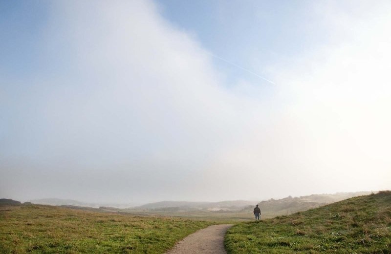 els bax natuur in noordwijk
