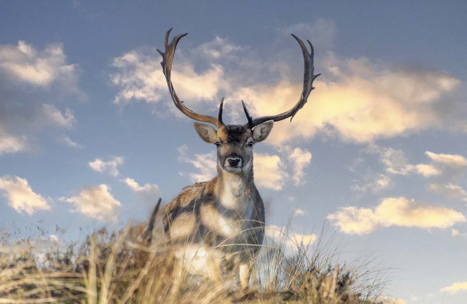 De magie van<br/><span class="ivy-mode-font"> de natuur...</span>