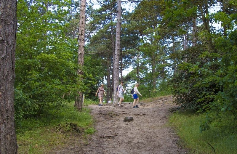 Noordwijkerhout omgeving 14