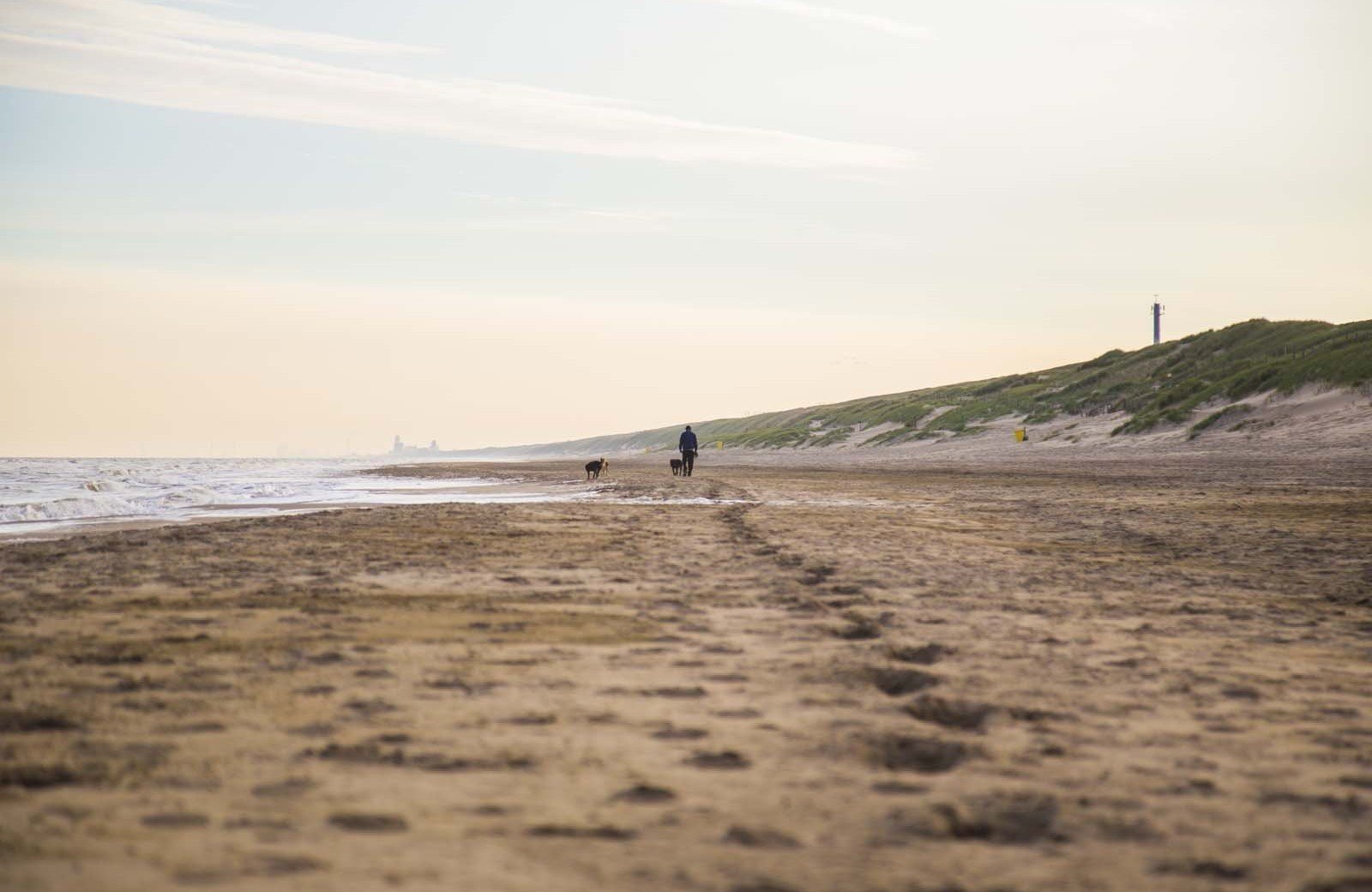 De magie van<br/><span class="ivy-mode-font"> het strand...</span>